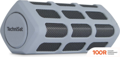 Беспроводная колонка Technisat BLUSPEAKER OD 300 (12496)