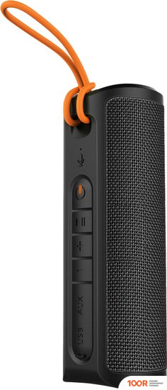 Беспроводная колонка SunWind SW-PS105 B (ЧЕРНЫЙ) (12412)