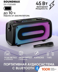Беспроводная колонка Soundmax SM-PS5068B (12405)