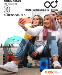 Беспроводная колонка Soundmax SM-PS5037B (12403)