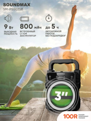 Беспроводная колонка Soundmax SM-PS5035B (12402)
