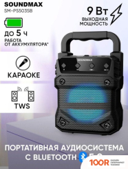 Беспроводная колонка Soundmax SM-PS5035B (12402)