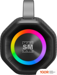 Беспроводная колонка Soundmax SM-PS5033B (12401)