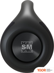 Беспроводная колонка Soundmax SM-PS5032B (12400)