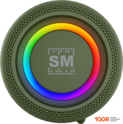 Беспроводная колонка Soundmax SM-PS5026B (ТЕМНО-ЗЕЛЕНЫЙ) (12395)