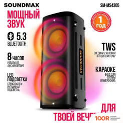 Беспроводная колонка Soundmax SM-MS4305 (12355)