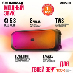 Беспроводная колонка Soundmax SM-MS4103 (12346)
