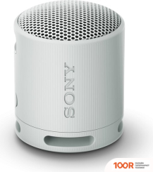 Беспроводная колонка Sony XB100 (СВЕТЛО-СЕРЫЙ) (12342)