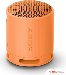 Беспроводная колонка Sony XB100 (ОРАНЖЕВЫЙ) (12341)