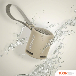 Беспроводная колонка Sony SRS-XB13 (БЕЖЕВЫЙ) (12300)