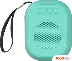 Беспроводная колонка SmartBuy BLOOM SBS-160 (12205)