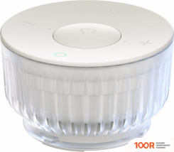 Беспроводная колонка Sber SBERBOOM MINI 2 (НЕОНОВЫЙ СЕРЫЙ) (12158)