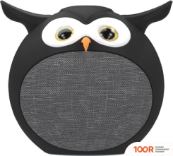 Беспроводная колонка Ritmix ST-110BT (ЧЕРНЫЙ) (12057)