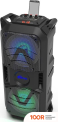 Беспроводная колонка Ritmix SP-850B (12046)