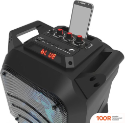 Беспроводная колонка Ritmix SP-850B (12046)