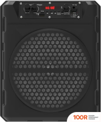 Беспроводная колонка Ritmix SP-810B (12044)