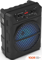 Беспроводная колонка Ritmix SP-810B (12044)