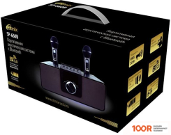 Беспроводная колонка Ritmix SP-660B (12042)