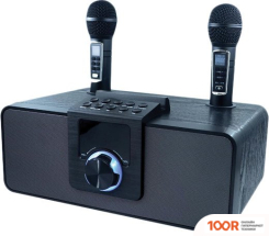 Беспроводная колонка Ritmix SP-660B (12042)