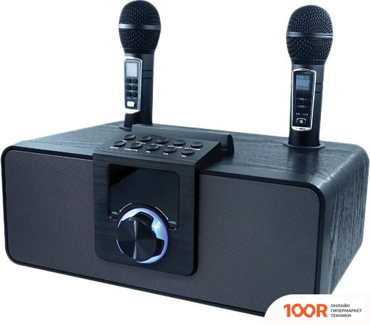 Беспроводная колонка Ritmix SP-660B (12042)