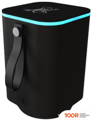 Беспроводная колонка Ritmix SP-340B (12037)