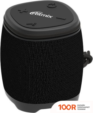 Беспроводная колонка Ritmix SP-310B (12034)