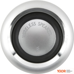 Беспроводная колонка Red Line BS-01 (12024)