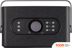 Беспроводная колонка Radiotehnika IMPULSE P1 (12022)