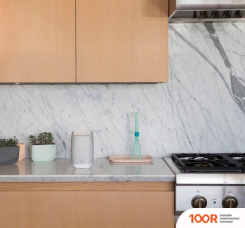 Беспроводная колонка Polk Audio ASSIST (СЕРЫЙ) (11975)