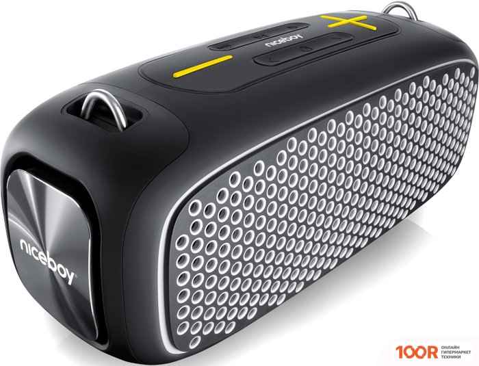 Беспроводная колонка Niceboy RAZE ZEUS (11875)
