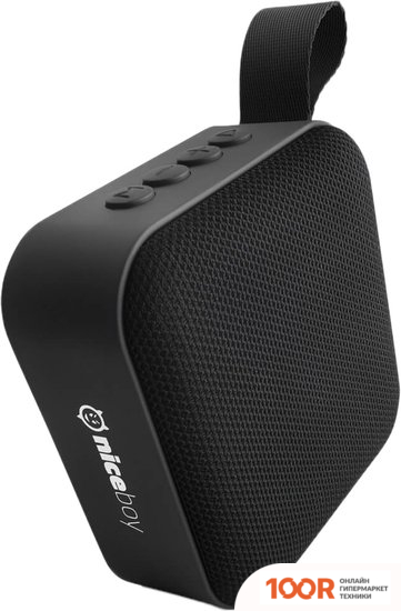 Беспроводная колонка Niceboy RAZE MINI (11871)