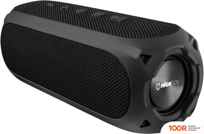 Беспроводная колонка Niceboy RAZE 3 RADION (11868)