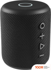 Беспроводная колонка Niceboy RAZE 3 GURU (11867)