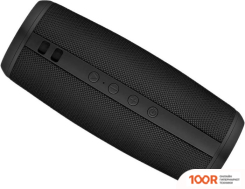 Беспроводная колонка Niceboy RAZE 2 EGO (11865)