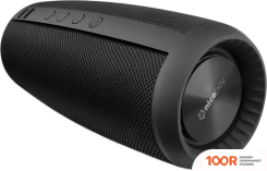 Беспроводная колонка Niceboy RAZE 2 EGO (11865)