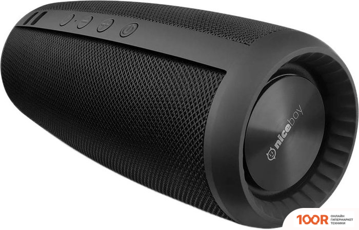 Беспроводная колонка Niceboy RAZE 2 EGO (11865)