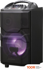 Беспроводная колонка National NSM-V550 (11862)