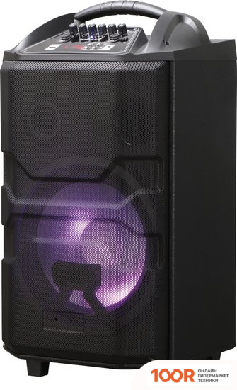 Беспроводная колонка National NSM-V550 (11862)