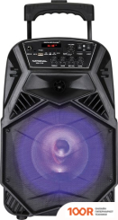 Беспроводная колонка National NSM-V100 (11855)