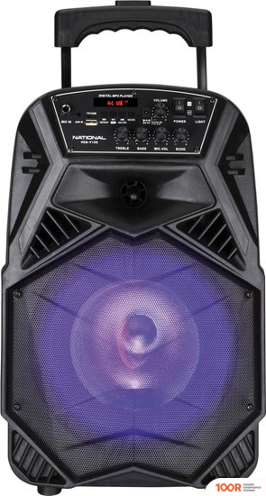 Беспроводная колонка National NSM-V100 (11855)