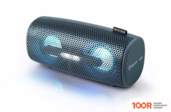 Беспроводная колонка Muse M-730 DJ (11835)