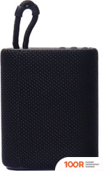 Беспроводная колонка Microlab BP21 (ЧЕРНЫЙ) (11776)