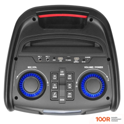 Беспроводная колонка Manta SPK5350 (11711)