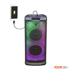 Беспроводная колонка Manta SPK5350 (11711)