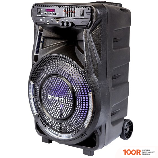 Беспроводная колонка Manta SPK5033 (11706)