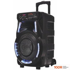 Беспроводная колонка Manta SPK5033 (11706)