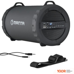 Беспроводная колонка Manta SPK204FM (11701)