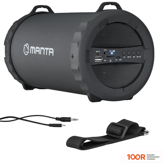 Беспроводная колонка Manta SPK204FM (11701)