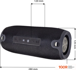 Беспроводная колонка Manta SPK15GO (ЧЕРНЫЙ) (11700)