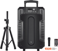 Беспроводная колонка Manta SPK1203B100 (11697)